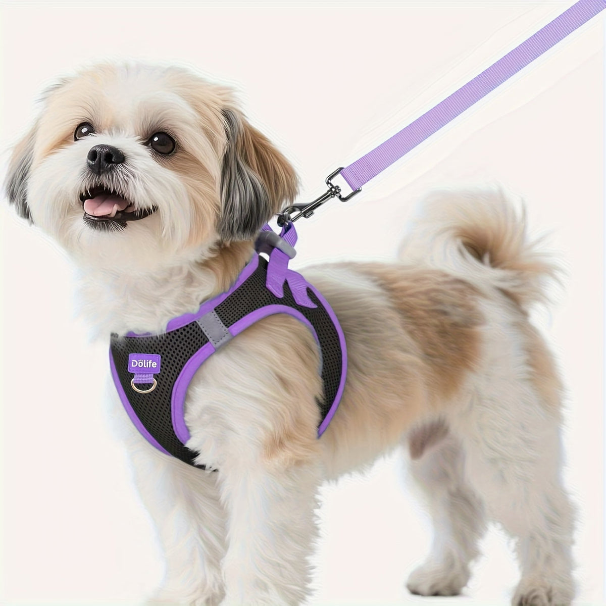 Ensemble harnais et laisse pour petits chiens - Harnais gilet doux et respirant pour chiot avec bandes réfléchissantes de nuit, harnais pour animaux facile à mettre et lavable en machine pour petites races