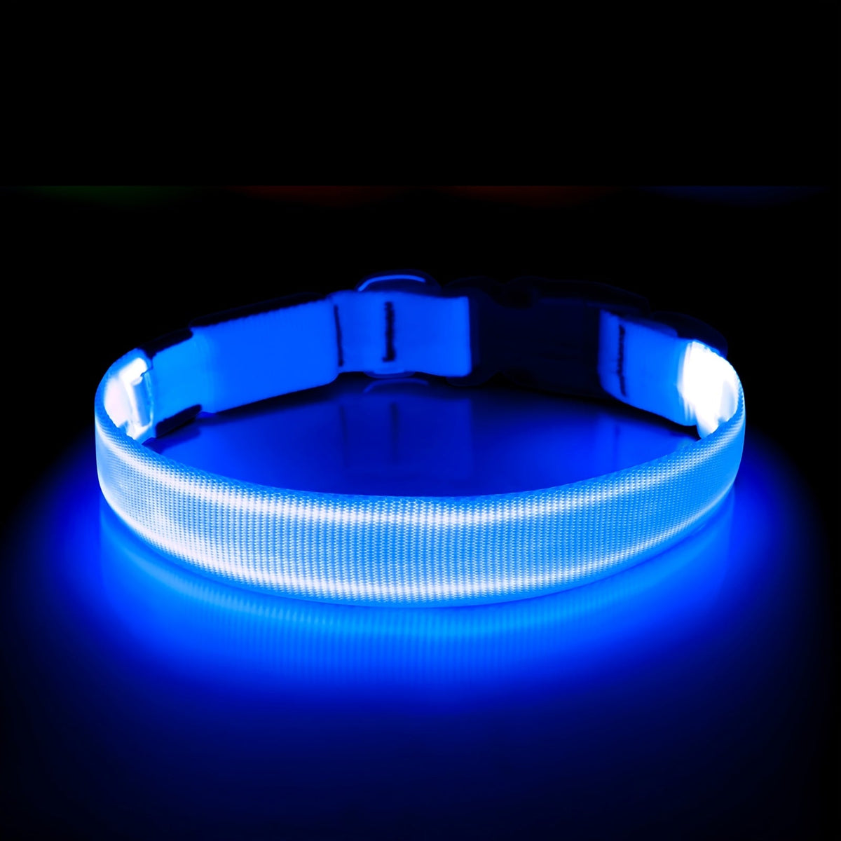 Collier lumineux pour chien à LED, rechargeable par USB - Collier de sécurité ajustable en nylon avec boucle en D pour petits, moyens et grands chiens, haute visibilité pour les promenades nocturnes