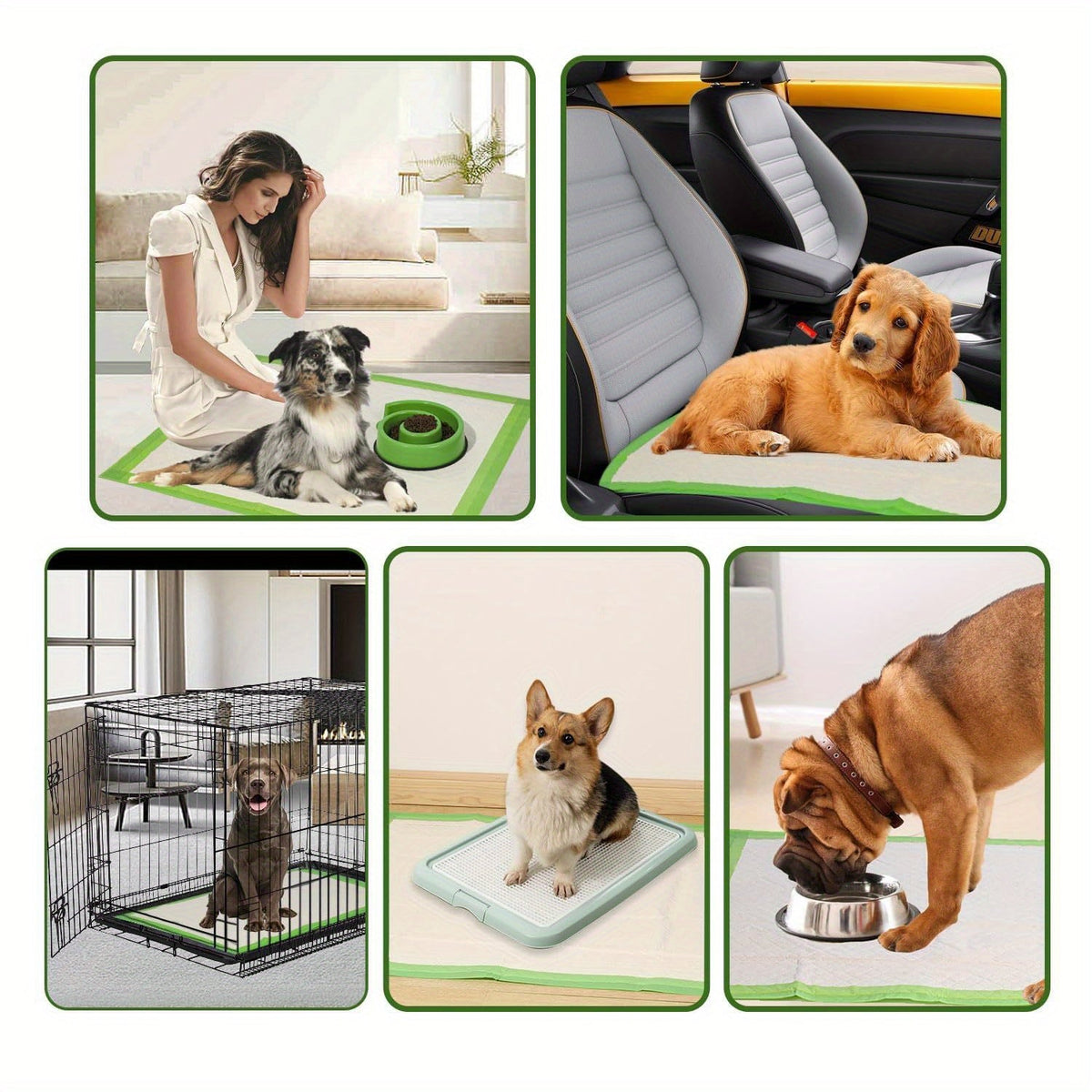 Alèses pour grands chiens, format Jumbo, paquet de 50 ou 100 – Tapis de propreté ultra-absorbants à 6 couches, résistants et anti-fuites, séchage rapide et contrôle des odeurs, parfaits pour l'éducation des chiots et les chiens âgés