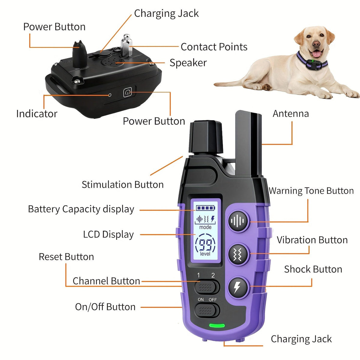 Collier de dressage pour chien avec télécommande – Portée de 1265 m, modes choc, vibration et bip, collier électrique rechargeable pour chiens de petite à grande taille (2 à 68 kg), options pour 1 ou 2 chiens, violet