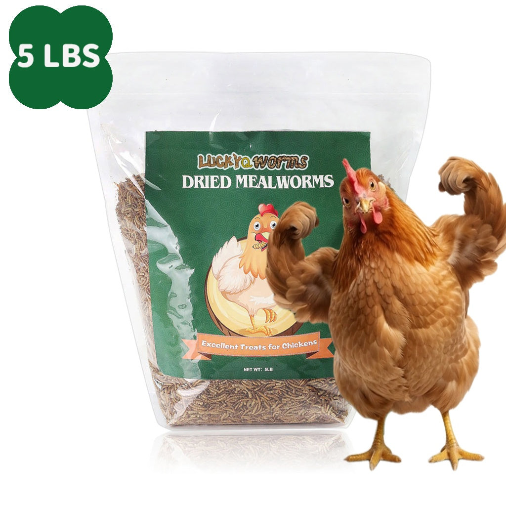 Vers de farine séchés pour poules, oiseaux sauvages et canards – Aliment naturel riche en protéines pour poules, tortues, poissons, lézards et hamsters, nourriture animale séchée sans OGM, plusieurs formats de 0,6 à 40 livres