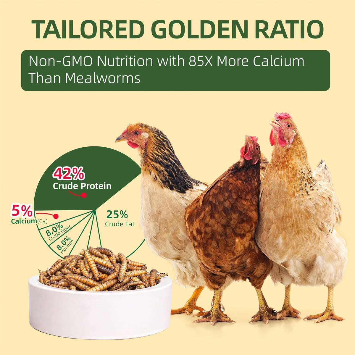 Larves de mouches soldats noires séchées pour poules – 43 % de protéines et 85 fois plus de calcium que les vers de farine, friandises naturelles sans OGM pour poules pondeuses, canards, cailles, oiseaux et reptiles, 2 lb / 5 lb / 10 lb