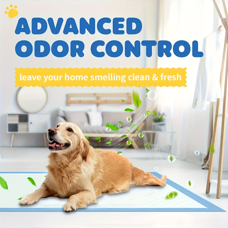 Alèses ultra-absorbantes pour animaux 60 x 60 cm – Lot en gros de 50 à 400 unités, protections jetables anti-fuites pour chiens, chiots, chats et lapins, contrôle des odeurs, pack économique