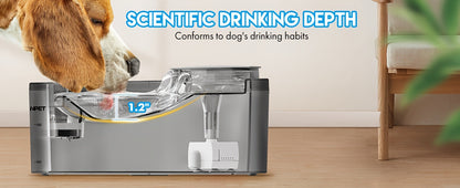 Fontaine à eau automatique pour chien, distributeur d'eau pour animaux de compagnie grande capacité de 4,9 litres avec protection anti-éclaboussures, kit de nettoyage et USB basse tension pour chiens, chats et foyers multi-animaux