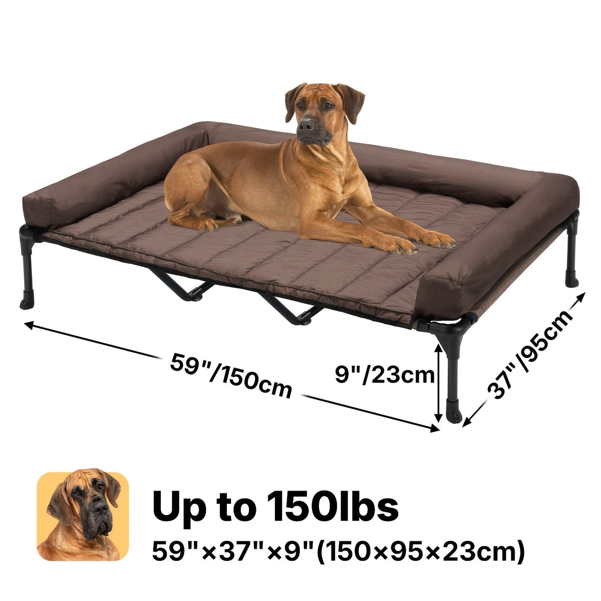 Lit surélevé rafraîchissant pour chien avec matelas amovible – Canapé pour chien surélevé avec rebords, filet respirant et pieds antidérapants pour une utilisation en intérieur et en extérieur