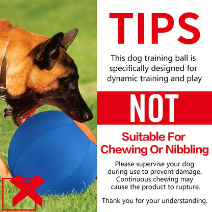 Balle de jeu résistante à la mastication pour chiens – Jouet durable pour le rapport et le dressage, idéal pour Golden Retriever, Bouledogue, Shiba Inu, Corgi et Berger Australien, pour le jeu en autonomie et l'obéissance.