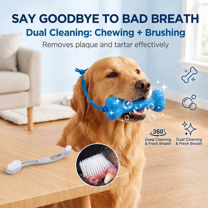 Lot de 2 bâtonnets de dentition et brosses à dents pour chien - Brosse à dents durable à mâcher avec sangle d'ouverture de gueule pour un brossage facile, jouet de soin dentaire à double usage pour chiens, couleur aléatoire