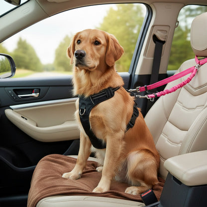 Double ceinture de sécurité pour 2 chiens, attache appuie-tête anti-enchevêtrement, laisse élastique réglable pour la sécurité des chiens de petite, moyenne et grande taille en voiture