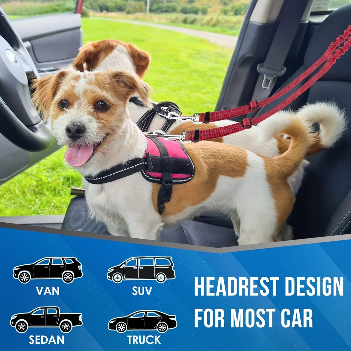 Double ceinture de sécurité pour 2 chiens, attache appuie-tête anti-enchevêtrement, laisse élastique réglable pour la sécurité des chiens de petite, moyenne et grande taille en voiture