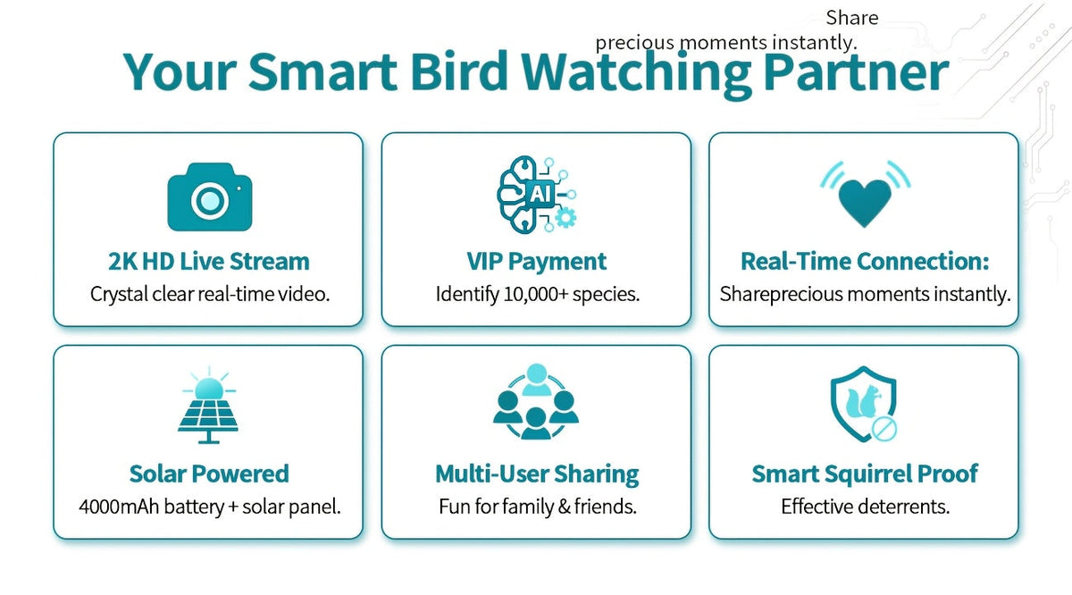 Mangeoire à oiseaux intelligente avec caméra solaire – 4MP 2K HD, identification des espèces d'oiseaux, détection de mouvement, protection contre les écureuils, étanchéité IP66, surveillance à distance via application, cadeau pour les amoureux des oiseaux