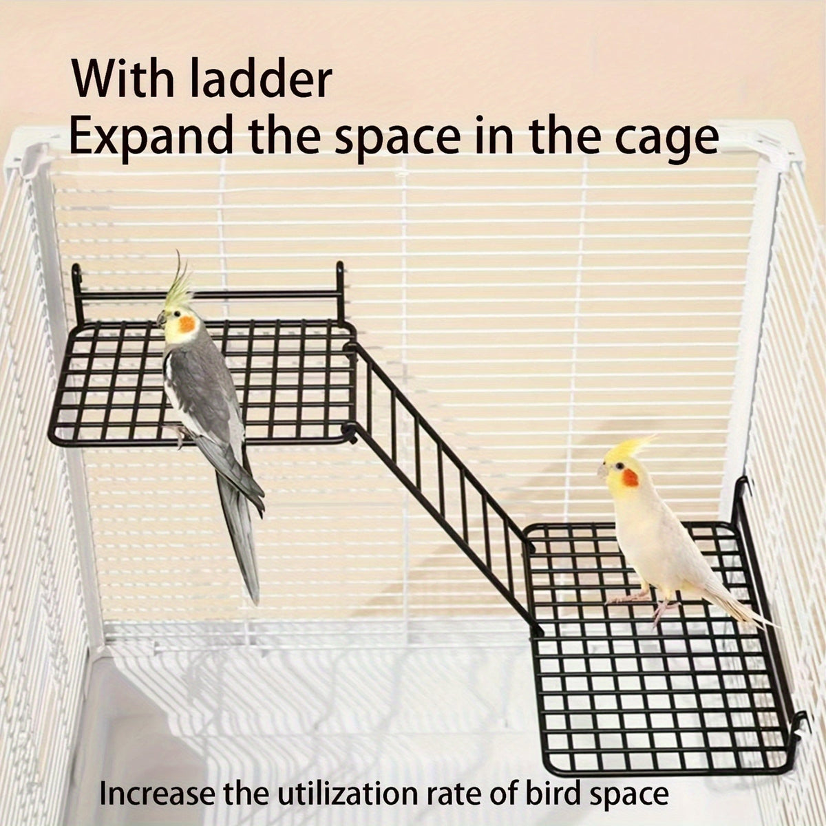 Échelle d'escalade en métal pour oiseaux - Perchoir balançoire avec clochette pour perruches, calopsittes, inséparables et petits oiseaux - Acier durable, installation facile, accessoire de cage pour l'enrichissement des oiseaux