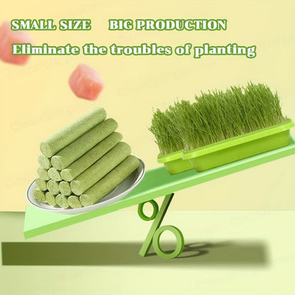 Bâtonnets à mâcher d'herbe à chat lyophilisée – Jouet à mâcher comestible pour le nettoyage des dents et l'élimination des boules de poils, friandises naturelles à l'herbe à chat, 15 ou 30 pièces