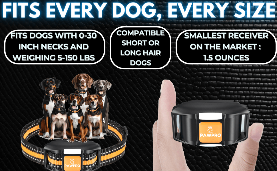Collier de dressage pour chien avec télécommande, portée de 6 km – 124 niveaux réglables, 4 modes (bip, vibration, choc, veilleuse), collier électronique rechargeable pour chiens de 2 à 61 kg, avec guide de dressage
