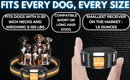Collier de dressage pour chien avec télécommande, portée de 6 km – 124 niveaux réglables, 4 modes (bip, vibration, choc, veilleuse), collier électronique rechargeable pour chiens de 2 à 61 kg, avec guide de dressage