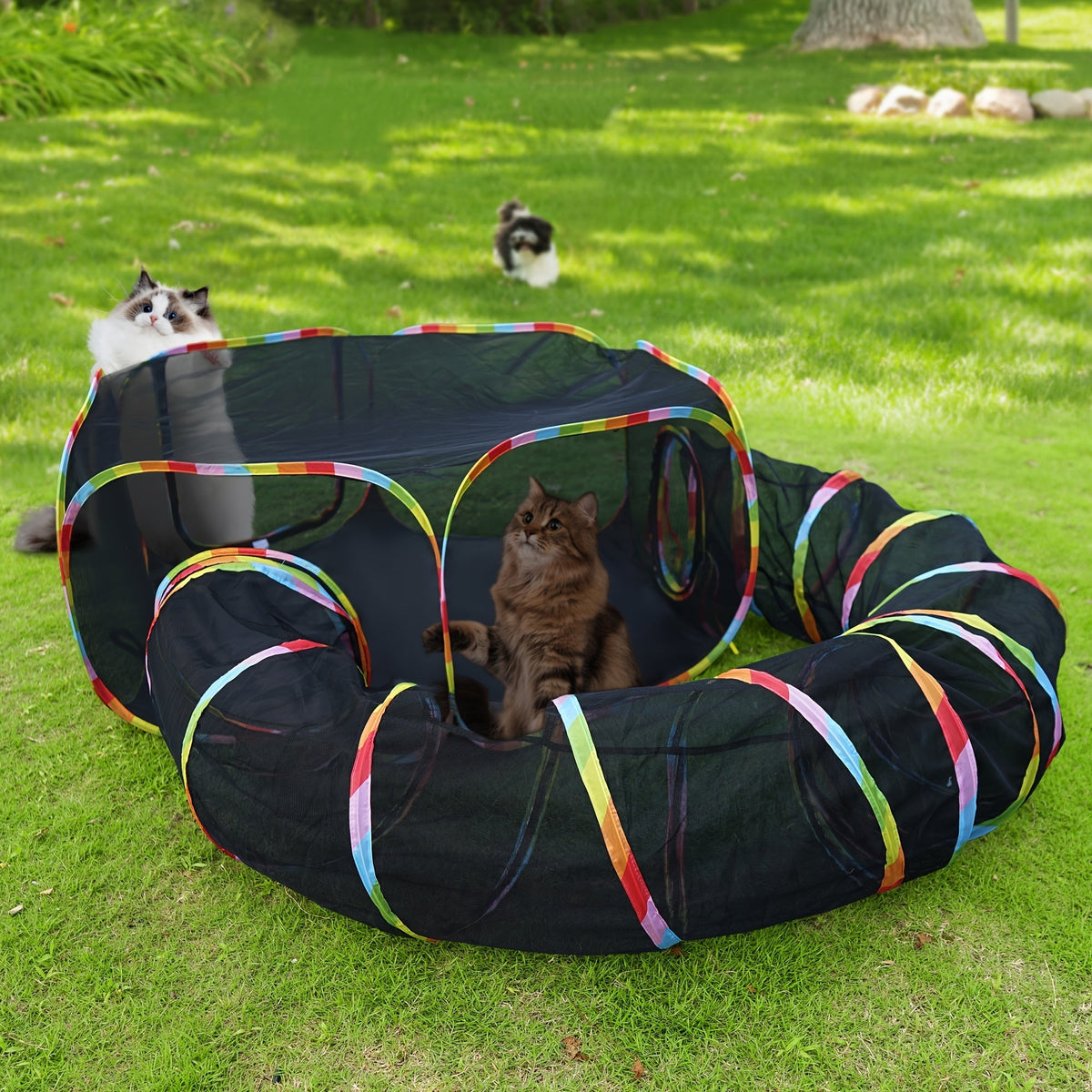 Parc pour chat Rainbow, enclos extérieur pour chat avec tunnel circulaire et tente pop-up portable, aire de jeu pliable pour chats, chatons et petits animaux, usage intérieur et extérieur