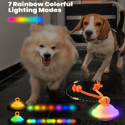 Jouet balle roulante automatique pour chien avec corde, activé par le mouvement, enregistrement vocal, rechargeable par USB, jouet interactif stimulant pour petits et moyens chiens, anti-ennui, gris et blanc