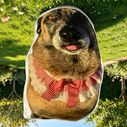Coussin personnalisé pour animal de compagnie imprimé en 3D à partir d'une photo - Coussin câlin personnalisé à la forme de votre animal, peluche douce pour les amoureux des chiens et des chats, cadeau d'anniversaire ou souvenir, 2 tailles (25 cm / 40 cm)