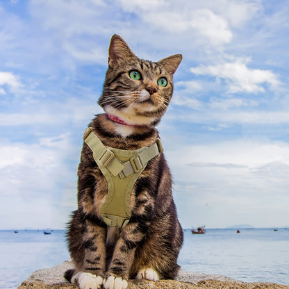 Harnais tactique réglable anti-fugue pour chat, gilet en tissu Oxford 600D, sangle de poitrine pour entraînement de chat et petit chien, taille unique universelle