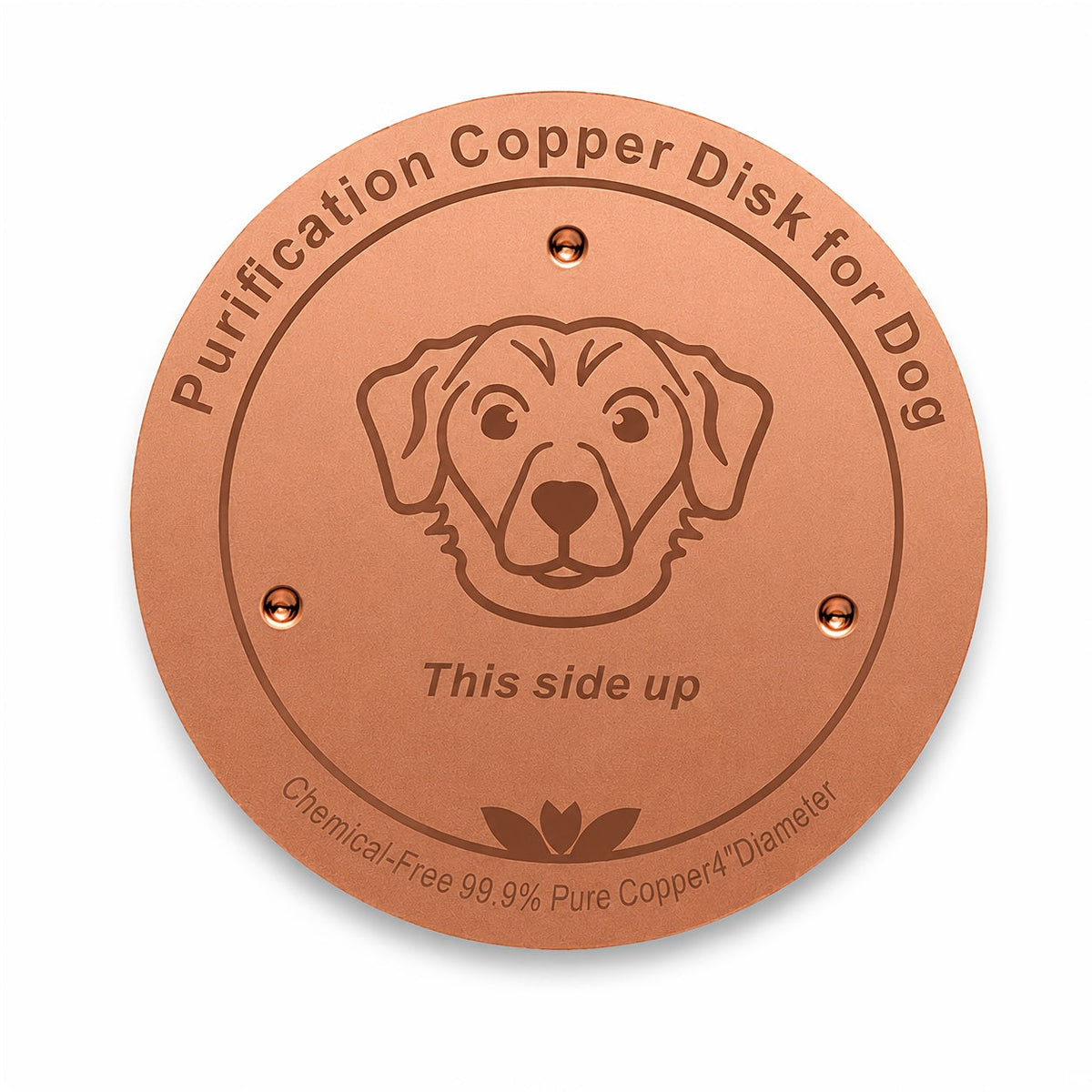 Disque de purification pour gamelle de chien en cuivre pur 10 cm - Insert de bol en cuivre réutilisable pour la purification de l'eau des chiens et animaux de compagnie - Accessoire naturel de nettoyage de l'eau sans pile pour gamelles de chien