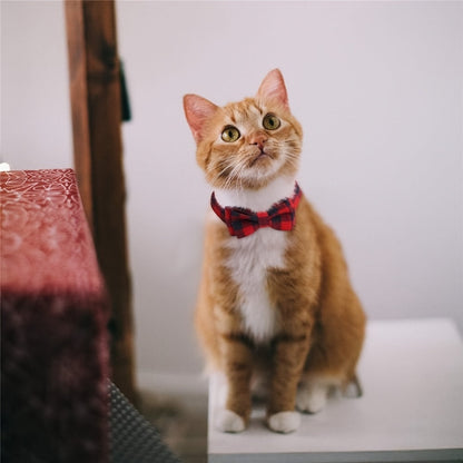 Lot de 4 colliers pour chat avec clochettes - Collier réglable de 19 à 30 cm, motif écossais, boucle de sécurité anti-étranglement avec clochette et nœud pour chatons et petits chiens, tissu confortable, ensemble multicolore