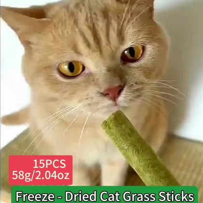 Bâtonnets à mâcher d'herbe à chat lyophilisée – Jouet à mâcher comestible pour le nettoyage des dents et l'élimination des boules de poils, friandises naturelles à l'herbe à chat, 15 ou 30 pièces