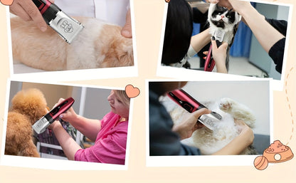 Tondeuse pour animaux sans fil rechargeable avec affichage LED - Tondeuse professionnelle sans fil pour poils de chien, têtes interchangeables, 4 guides de coupe, faible niveau sonore, charge USB 36V, pour chiens, chats et petits animaux