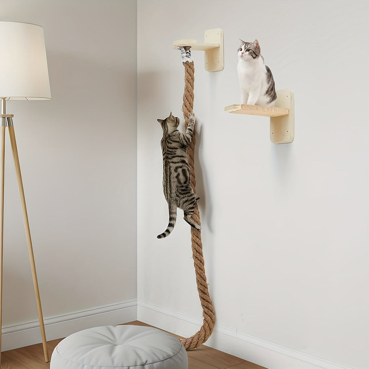 Arbre à chat mural avec corde d'escalade en jute de 152 cm – Mobilier mural pour chat peu encombrant avec griffoir, grande échelle et plateforme de repos, ensemble d'activités d'escalade pour chat d'intérieur pour l'exercice et le jeu