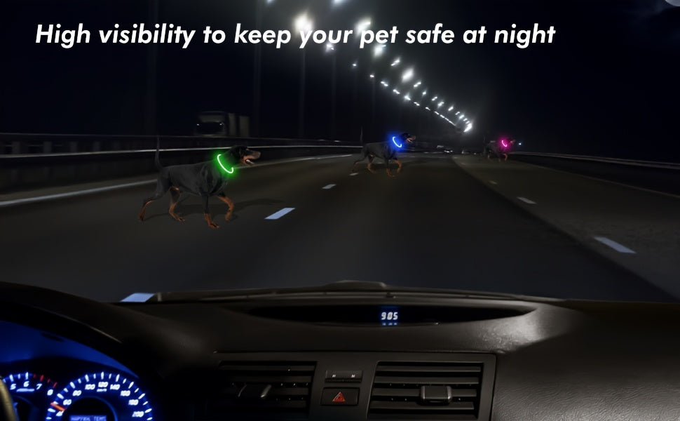 Collier pour chien à LED rechargeable par USB – Collier de sécurité lumineux à 360° avec 3 modes, réglable et découpable en TPU pour chiens de petite, moyenne et grande taille, idéal pour les promenades nocturnes, la course et la chasse