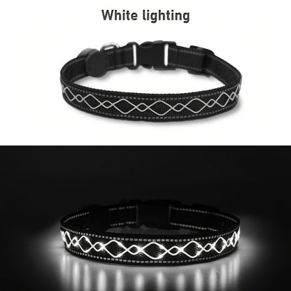 Collier pour chien à broderie LED rechargeable par USB pour la sécurité nocturne – Collier lumineux décoratif avec ajustement réglable pour chiens de petite, moyenne et grande taille, 4 couleurs, tailles S, M, L