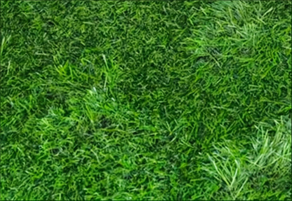 Tapis d'herbe artificielle pour chien, lavable et réutilisable, anti-odeur, pour l'apprentissage de la propreté à l'intérieur, 46 cm x 70 cm – Tapis de propreté en gazon pour chien