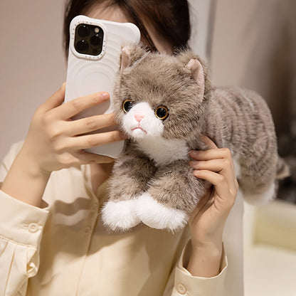 Peluche chat réaliste - adorable chaton en peluche pour enfants, poupée en peluche douce et réaliste disponible en 6 couleurs (marron, gris, orange, noir, noir et blanc, blanc), cadeau pour garçons et filles de tous âges