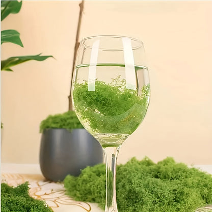Mousse artificielle réaliste pour terrariums, miniatures et paysages - Fausse mousse pour plantes en pot, maisons de poupées, dioramas, modélisme ferroviaire, aquariums et écosystèmes miniatures, entretien facile, 4 tailles de 10 g à 100 g