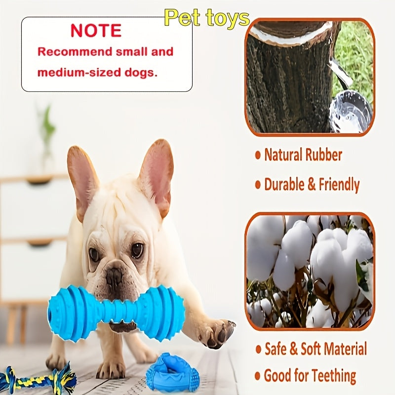 Lot de 8 jouets pour chiens de petite et moyenne taille – Design mignon de races assorties, jouets interactifs aux couleurs vives, jouets couineurs et à mâcher pour la dentition, le dressage et le jeu, styles et couleurs aléatoires