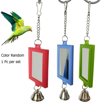 Miroir double face pour oiseau - Jouet de cage carré, décoration et accessoire interactif pour perroquets, perruches, calopsittes, inséparables - Couleur aléatoire 6 x 22 cm