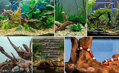 Bois flotté naturel à couler pour décoration d'aquarium – Lot de 3 grandes pièces en bois véritable pour aquarium d'eau douce, reptile et terrarium, bois flotté de teck violet sans danger pour les poissons