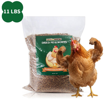Vers de farine séchés pour poules, oiseaux sauvages et canards – Aliment naturel riche en protéines pour poules, tortues, poissons, lézards et hamsters, nourriture animale séchée sans OGM, plusieurs formats de 0,6 à 40 livres