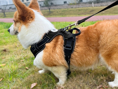 Ensemble harnais anti-traction et laisse pour chien – Harnais gilet réglable en tissu Oxford réfléchissant avec laisse à poignée rembourrée de 1,5 mètre pour chiens moyens à grands, boucles à dégagement rapide, tailles S à XL, 5 couleurs