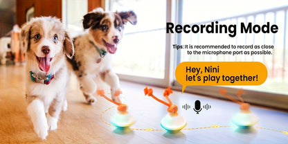 Jouet balle roulante automatique pour chien avec corde, activé par le mouvement, enregistrement vocal, rechargeable par USB, jouet interactif stimulant pour petits et moyens chiens, anti-ennui, gris et blanc