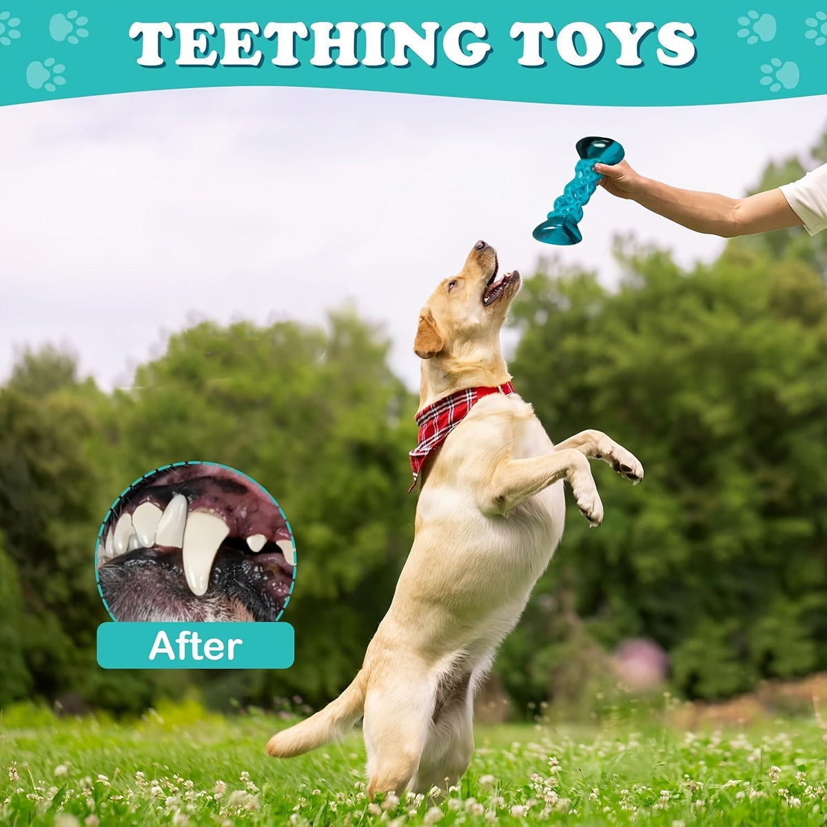 Jouet à mâcher durable en nylon pour chien, anti-anxiété, anti-ennui, jouet indestructible pour petits, moyens et grands chiens, mâcheurs agressifs, tailles standard et grande, occupe les chiens, soulage le stress
