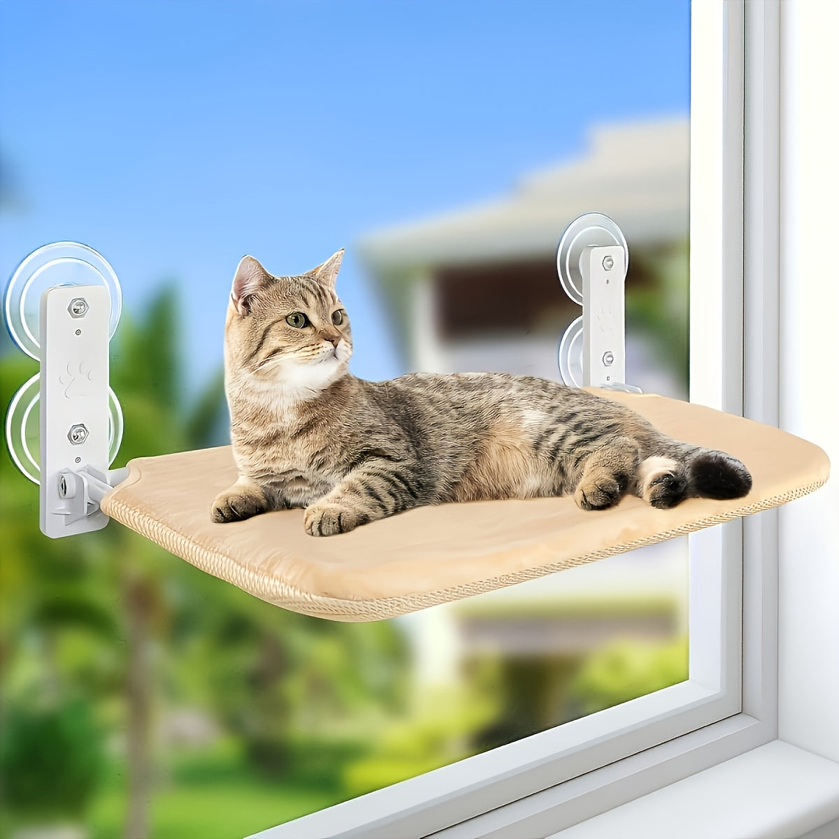 Hamac suspendu pour chat avec filet de rechange – Lit pour chat à montage mural ou au plafond, adhésif sans traces, sangles multicouches, espace de détente pliable, respirant et peu encombrant pour petits espaces, chats d'intérieur et chatons
