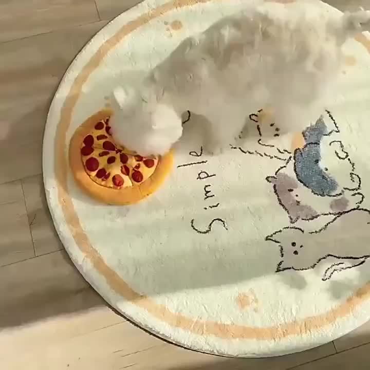 Jouet pour chien en peluche Pizza au pepperoni qui fait du bruit – Jouet à mâcher interactif et doux en polyester avec sifflet pour toutes les races, jouet amusant pour chien sur le thème de la nourriture pour chiots et chiens adultes