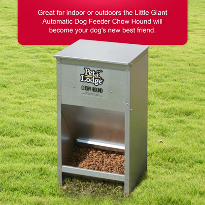 Distributeur automatique pour chien Pet Lodge 25 lb - Distributeur par gravité en acier galvanisé avec porte aimantée et goulotte inclinée, résistant à la mastication et à la rouille, montage mural pour intérieur et extérieur, argent