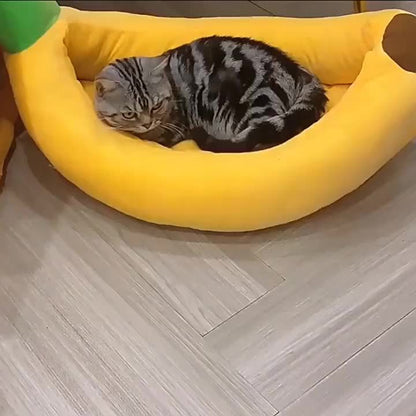 Lit tunnel pour chat, cachette d'intérieur - Tunnel pour chat en forme de beignet, pliable et utilisable en toute saison, avec ouverture pour chats d'intérieur, peluche douce, gris foncé et gris clair, disponible en 50 et 60 cm, cadeau idéal pour chat