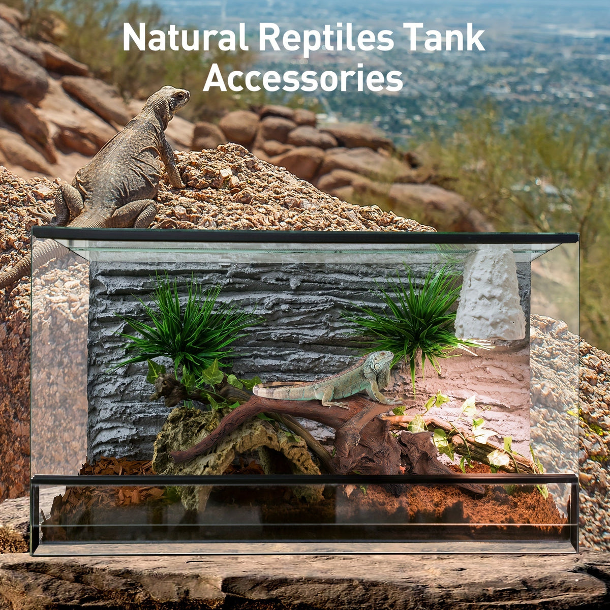 Bois flotté naturel à couler pour décoration d'aquarium – Lot de 3 grandes pièces en bois véritable pour aquarium d'eau douce, reptile et terrarium, bois flotté de teck violet sans danger pour les poissons