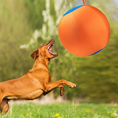 Balle de jeu résistante à la mastication pour chiens – Jouet durable pour le rapport et le dressage, idéal pour Golden Retriever, Bouledogue, Shiba Inu, Corgi et Berger Australien, pour le jeu en autonomie et l'obéissance.