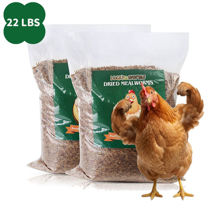 Vers de farine séchés pour poules, oiseaux sauvages et canards – Aliment naturel riche en protéines pour poules, tortues, poissons, lézards et hamsters, nourriture animale séchée sans OGM, plusieurs formats de 0,6 à 40 livres