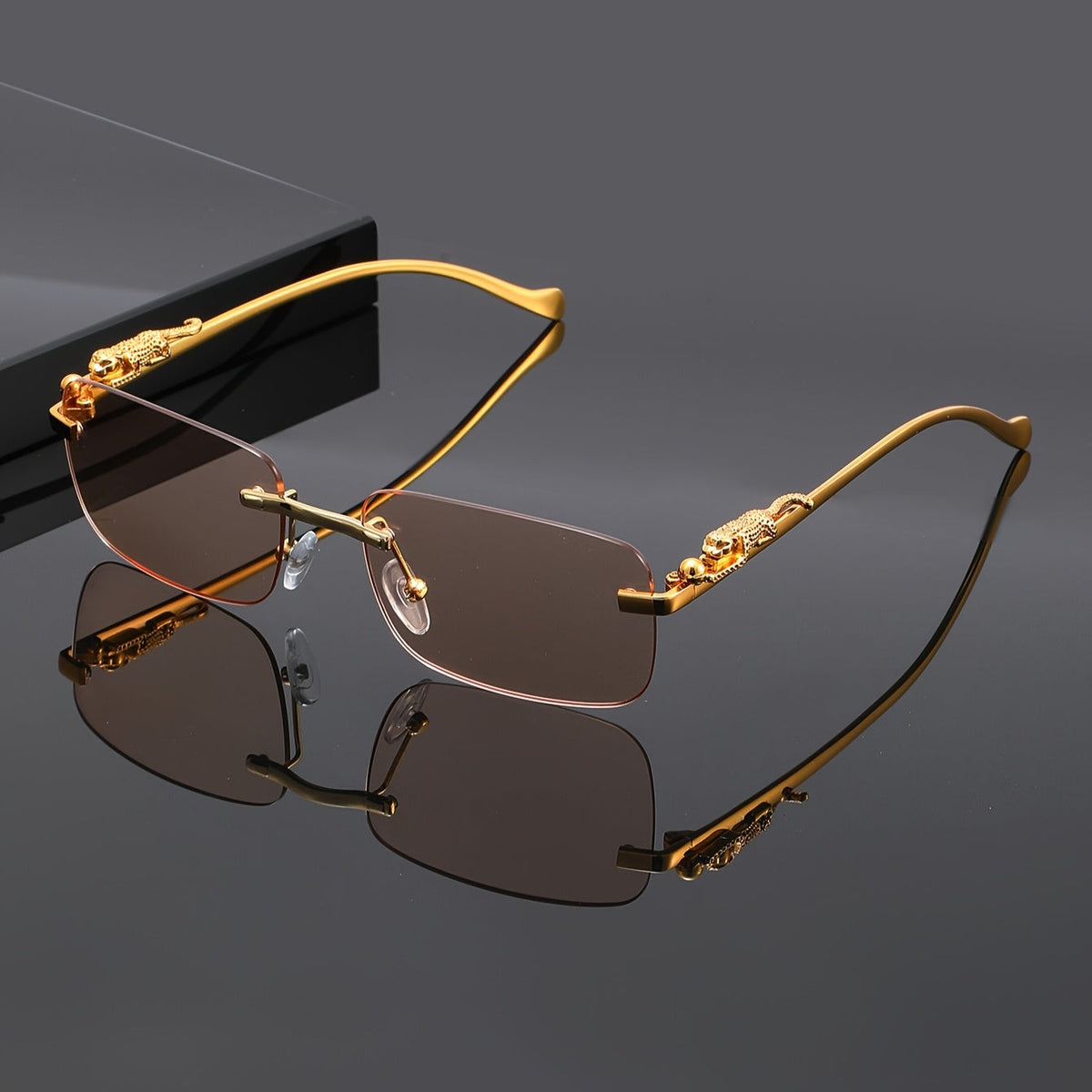 Lunettes de soleil carrées sans monture à motif léopard pour hommes et femmes – Monture dorée avec étui et chiffon de nettoyage, verres champagne blanc gris, lunettes unisexe tendance pour tenues décontractées, fêtes et accessoires photo