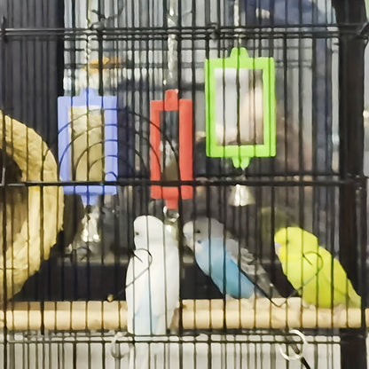 Miroir double face pour oiseau - Jouet de cage carré, décoration et accessoire interactif pour perroquets, perruches, calopsittes, inséparables - Couleur aléatoire 6 x 22 cm