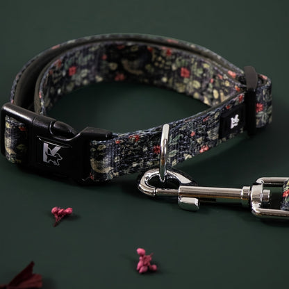 Harnais, laisse et collier réglables pour chien – Équipement de promenade doux et respirant pour races de petite à grande taille, tailles S M L, choix individuel du harnais / collier / laisse / bandana, équipement de promenade sécurisé en extérieur