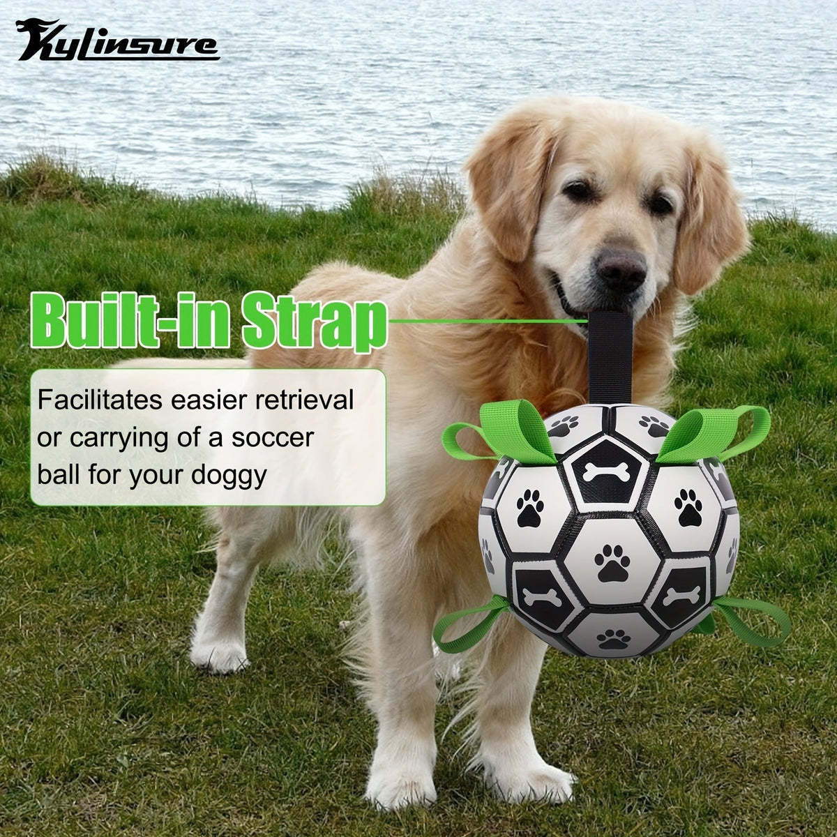 Jouet pour chien en forme de ballon de football avec sangles – Jouet durable pour jeux de traction et jeux d'eau pour chiens de petite et moyenne taille, inclut un embout de gonflage, cadeau idéal pour les chiots à Noël et pour les anniversaires